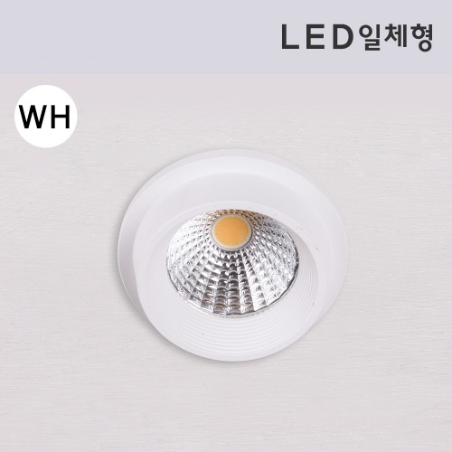 LED 일체형 FUN-9511 4W